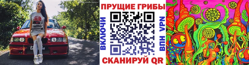 Псилоцибиновые грибы мицелий Конаково